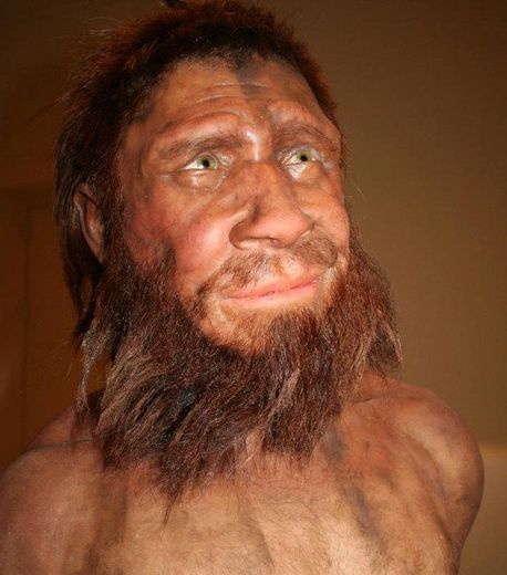 Homme de Spy, Néerdantalien, -36000 ans